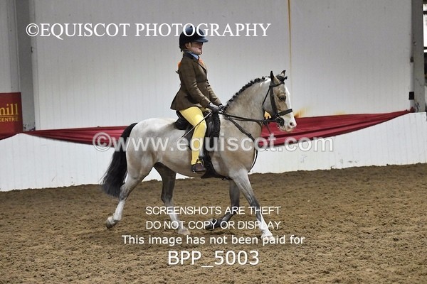 BPP_5003 - CLASS 3 40CM