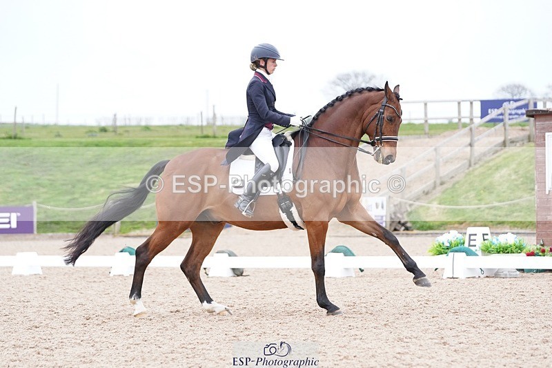 250403-162010-03288 - 028-Elizabeth.Allen-Heraldik