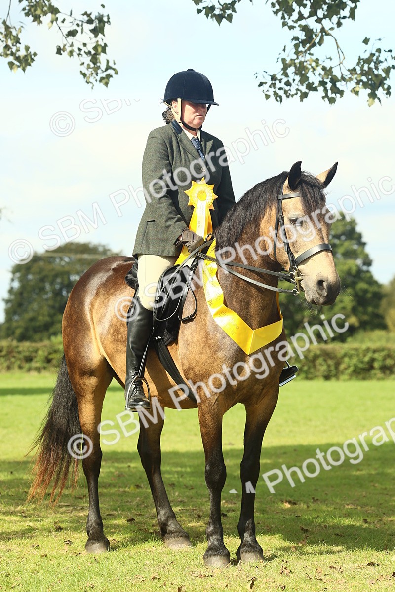 SBM_62706 - S63 - Other Coloured Horse Ridden