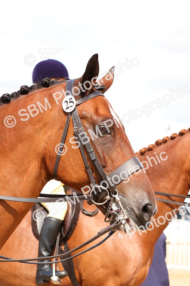 SBM_13556 - Class 212 - Ridden Hunter  - Large