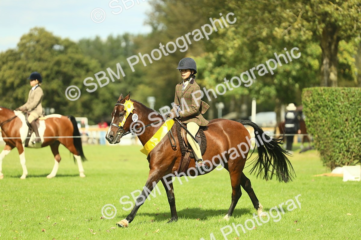 SBM_45044 - Working Hunter Pony Supreme Championship