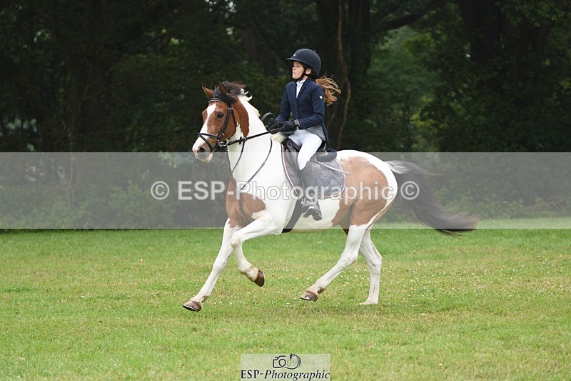 230618-110442-10694 - Cls 28 British Novice & 80cm Open