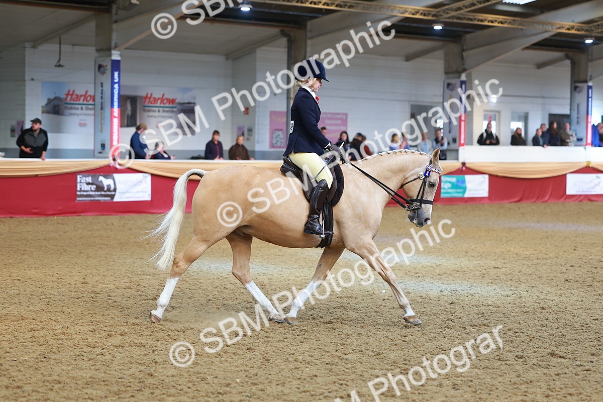 SBM_09722 - Class 102 - HOYS Veteran Qualifier - Ridden Veteran