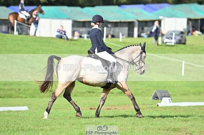 231020-141645-10866 - 664-TEMPLEMORE.WILD.ONE-Bella.Stevens-DR