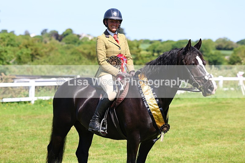 3E7A6818 - Working Hunter Pony Championship