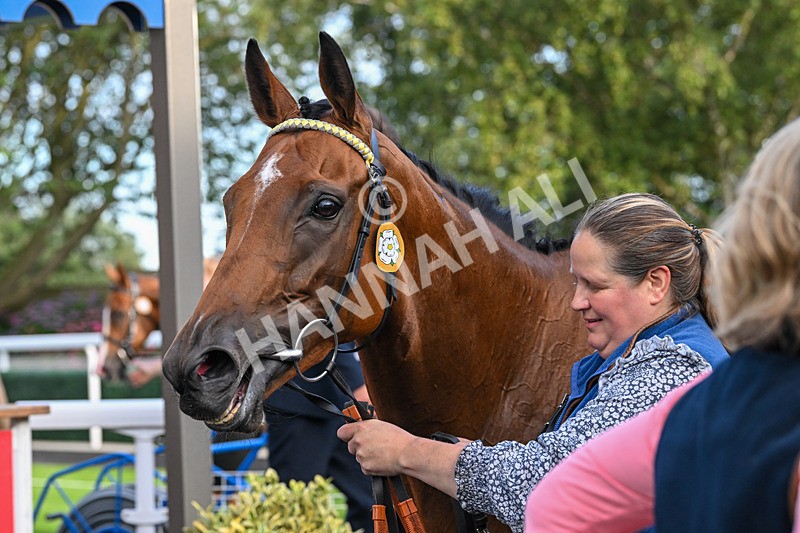 210725-Race 2-Without Flaw-7037 - Race 2