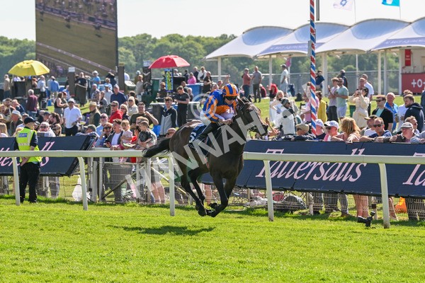 140525-Race 4-Whirl-2425 - Race 4 3.45pm Tattersalls Musidora Stakes