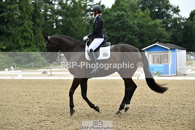 250718A-103730-00210 - 061-Louise.Christie-High.Hoes.Dandelion