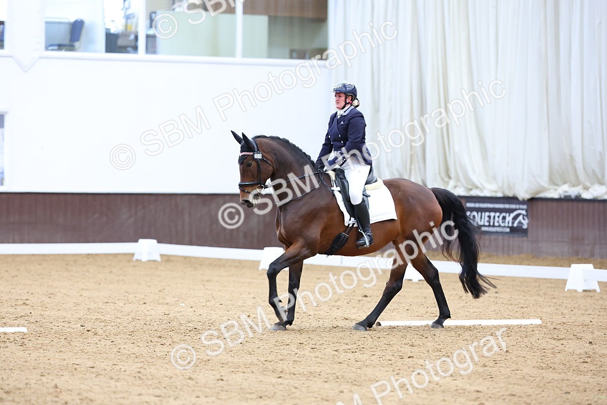 SBM_002308 - Novice 2