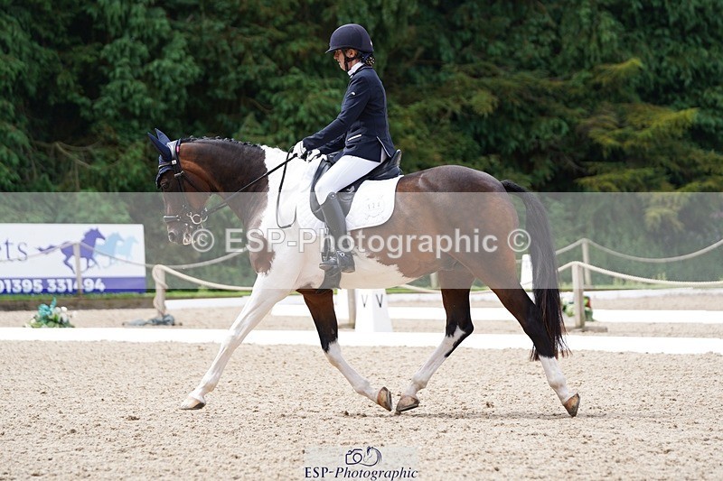 240721-113120-07819 - 124-Sophie_Savage-Two_Tone_Ted