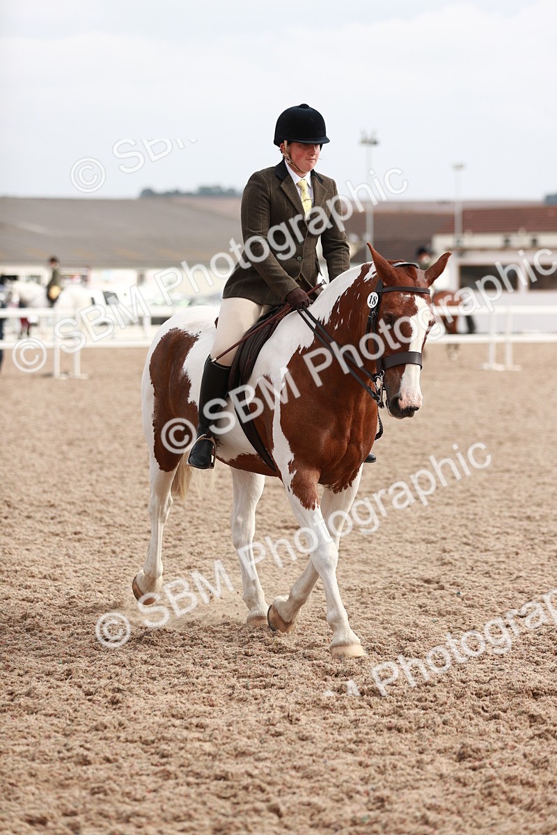 SBM_16796 - Class 214 Ridden Cob