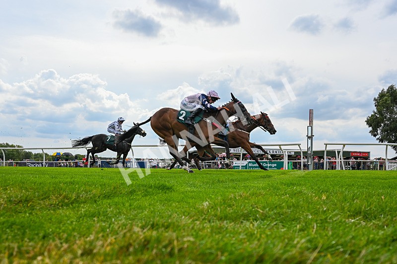 260826-Race 1-Mugheer-5910 - Race 1 14:15 Yorkshire Dales Distillery / EBF Restricted Maiden Stakes