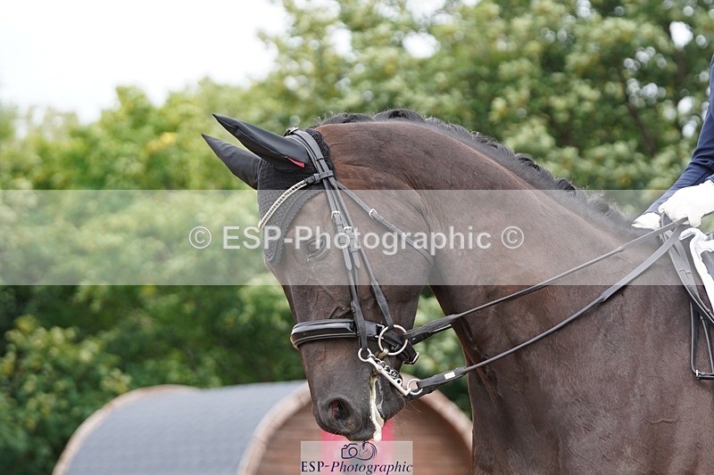 250622-135608-16080 - Cls 60 Freestyle PSG-Young Rider Inc Presentations