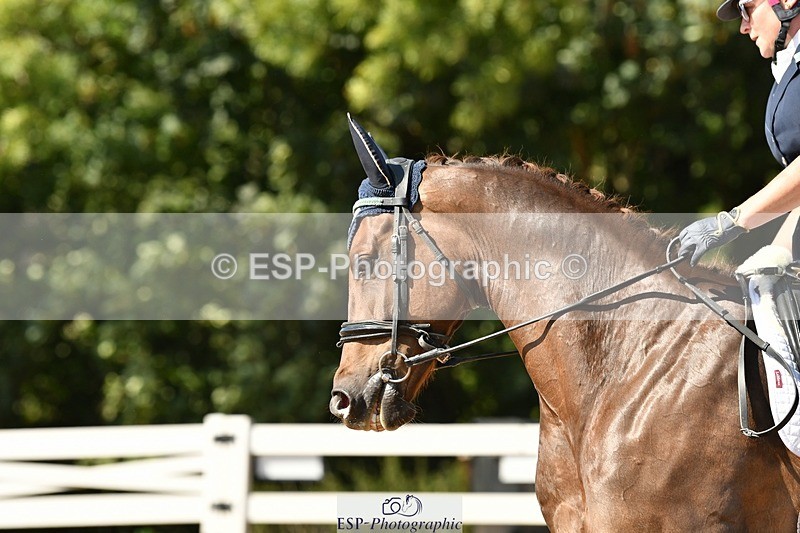 250817-154855-11351 - 214-Verity.PerryVogue