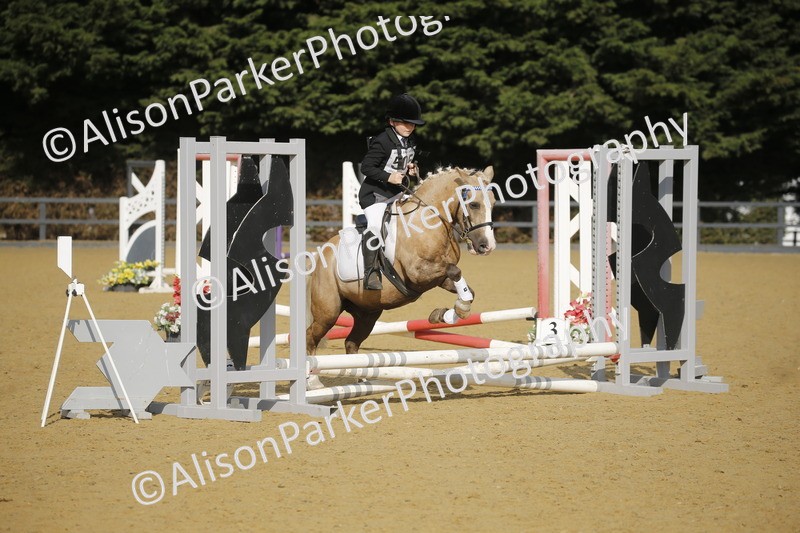 20250622-1192 - 40cm