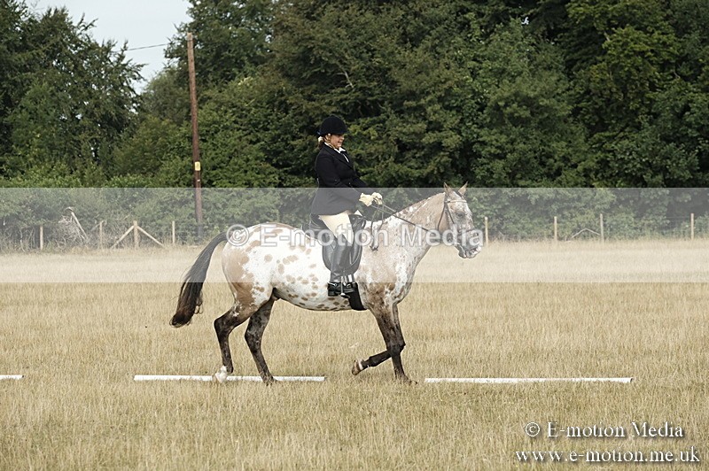 _PJP5704 - Dressage Classes BVRC Show 2018