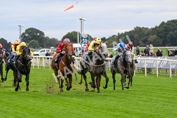101025-Race 1-Ice Max-0042 - Race 1 William Hill Autumn Mile Handicap at York
