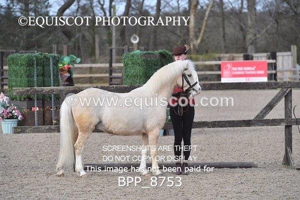 BPP_8753 - RING 2 - M&M