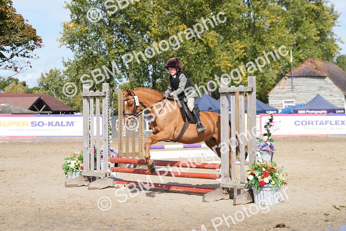SBM_40779 - Supreme Championship Pony 50-55cm