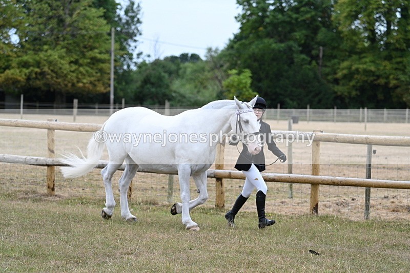 WJ7_8867 - Class 4a Prettiest Mare 14.2hh and over