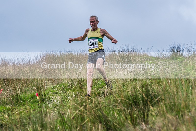 Steel Fell-654 - Steel Fell Race Wednesday 7th August 2024