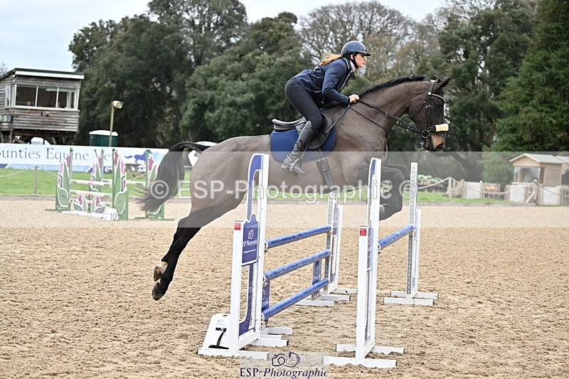 250201A-111121-00350 - Cls 02 Local Horse 100cm