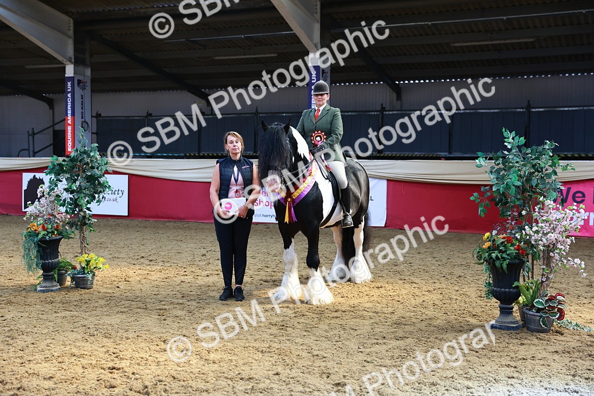 SBM_12771 - HOYS Veteran Qualifier - Ridden Champ