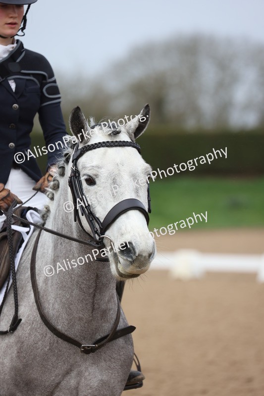 20260301-0080 - Class 2 - Prelim 5