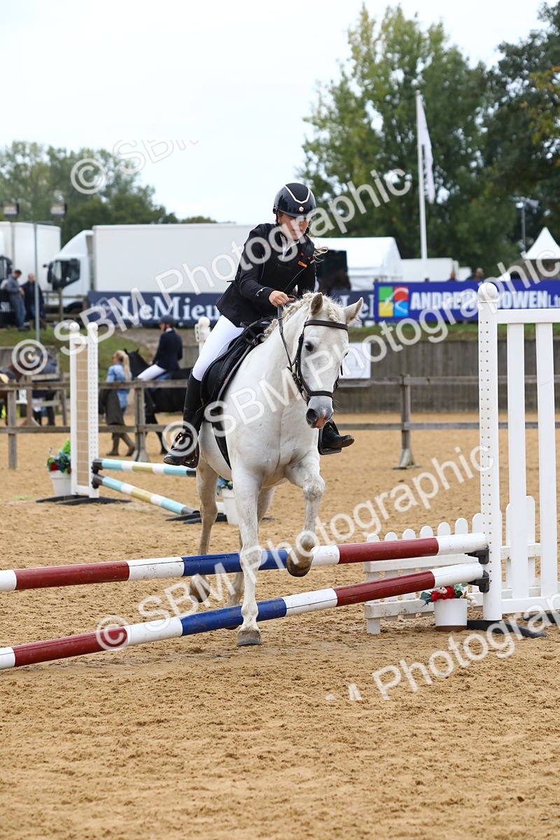 SBM_60120 - J63 - Junior Pony 50cm Championship