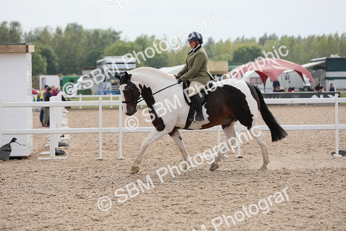 SBM_16949 - Class 314 Family Horse/Pony