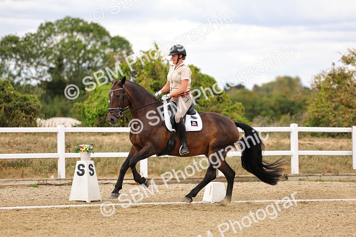 SBM_006631