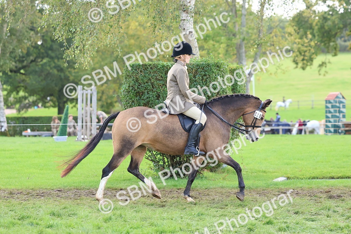 SBM_47633 - S28 - Veteran Ridden