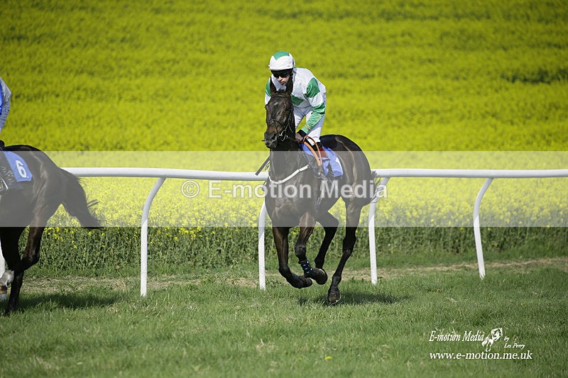 PtP 180422 236 - Old Berkshire PtP Lockinge 18/04/22
