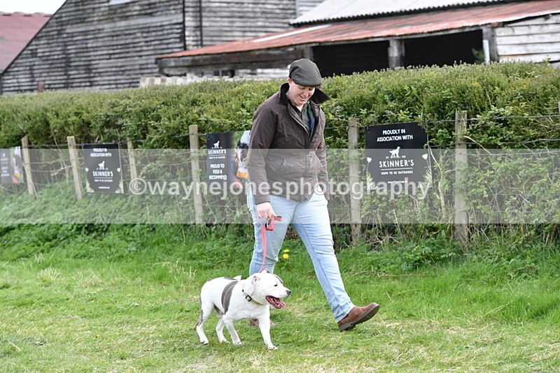 WJ5_9934 - Class 5 Best Veteran / 7 years & over