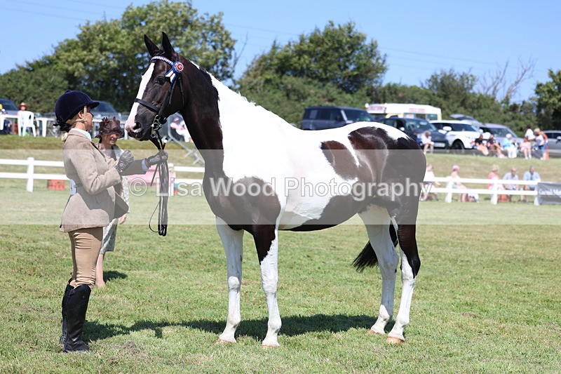 3E7A7899 - Class 7: Open Riding Horse
