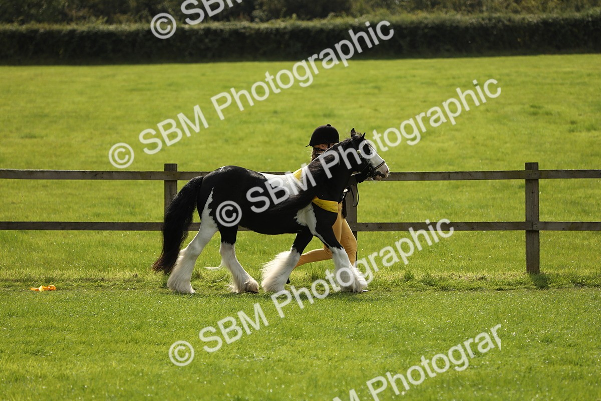 SBM_66254 - In Hand Pony & Youngstock Supreme Championship