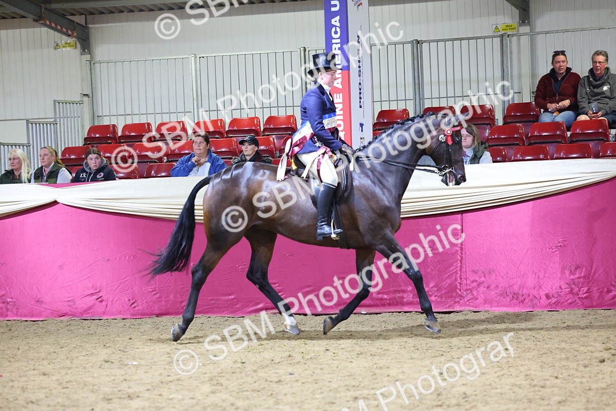 SBM_19100 - Class H Foreign Breeds Champ