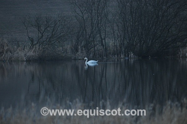  - Wildlife & Landscape