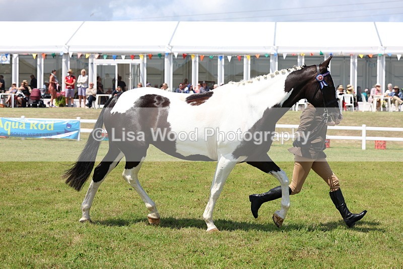 3E7A1221 - Class 8: Open Riding Horse/Hack