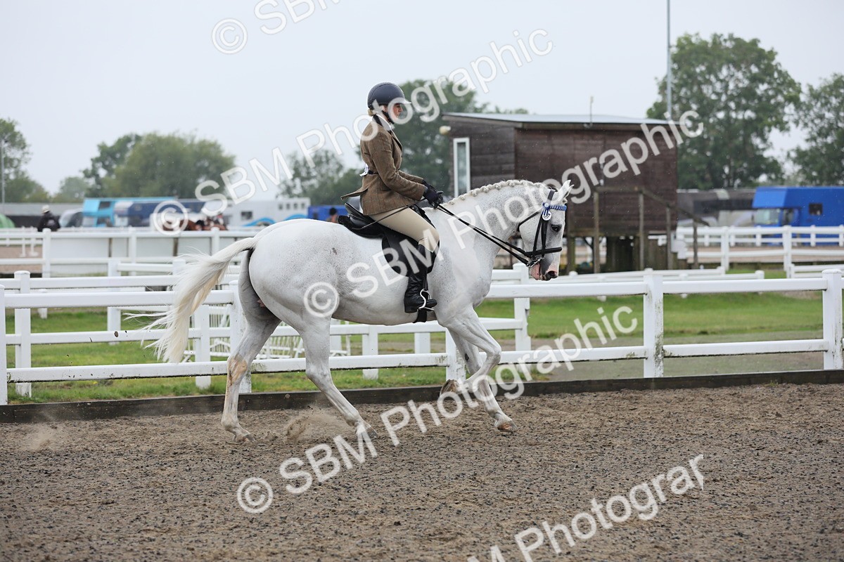 SBM_20015 - Class 802 - Ridden Groom - Helpers class