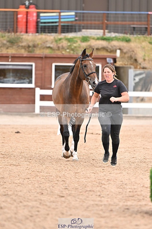 250716-155422-02264 - Trot Up 3.30 to 4.30