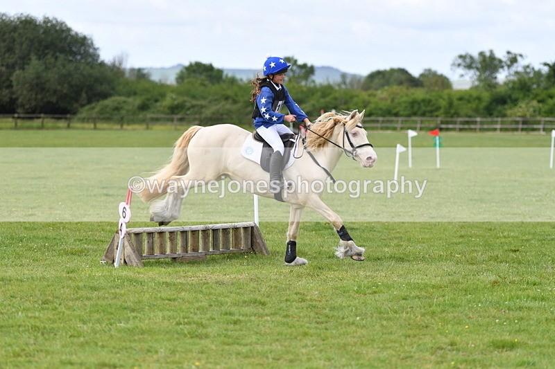 WJ5_2723 - Class 2 40cm