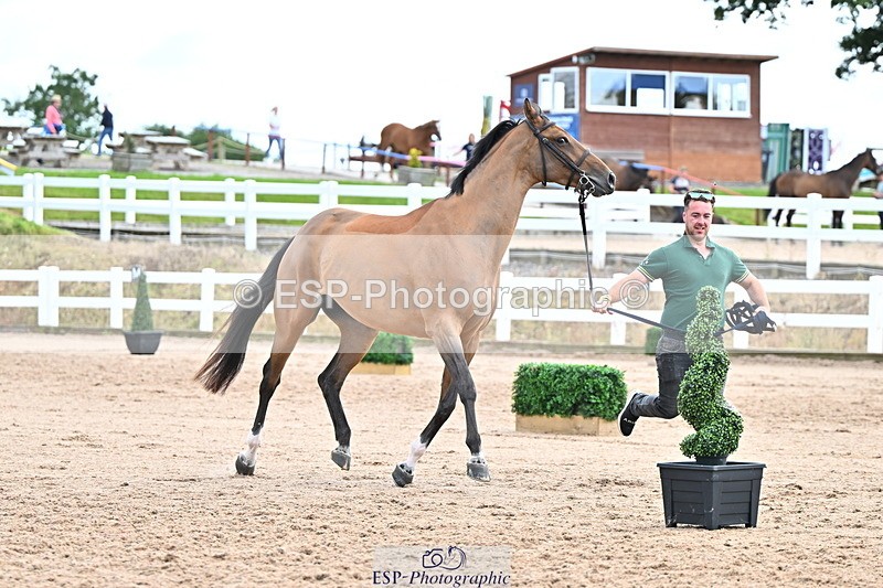 240718A-105325-01986 - Trot Up 2pm to 3pm - This folder is not in time order
