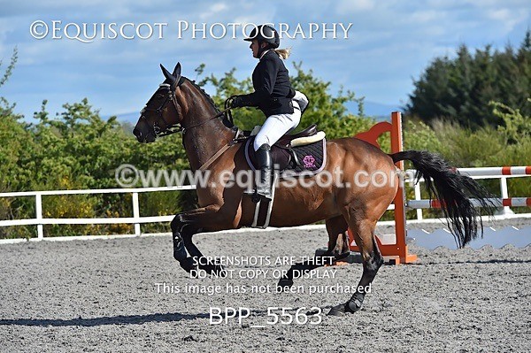 BPP_5563 - SAT CLASS 31 NEWCOMERS/1.10M