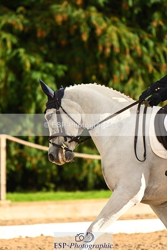 231021-152657-20850 - 258-NOBBER.TADA-Olivia.Mathieson-DR