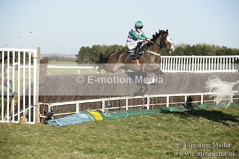 PtP 070118 -435 - Larkhill Racing Club Point to Point Larkhill 07/01/2018