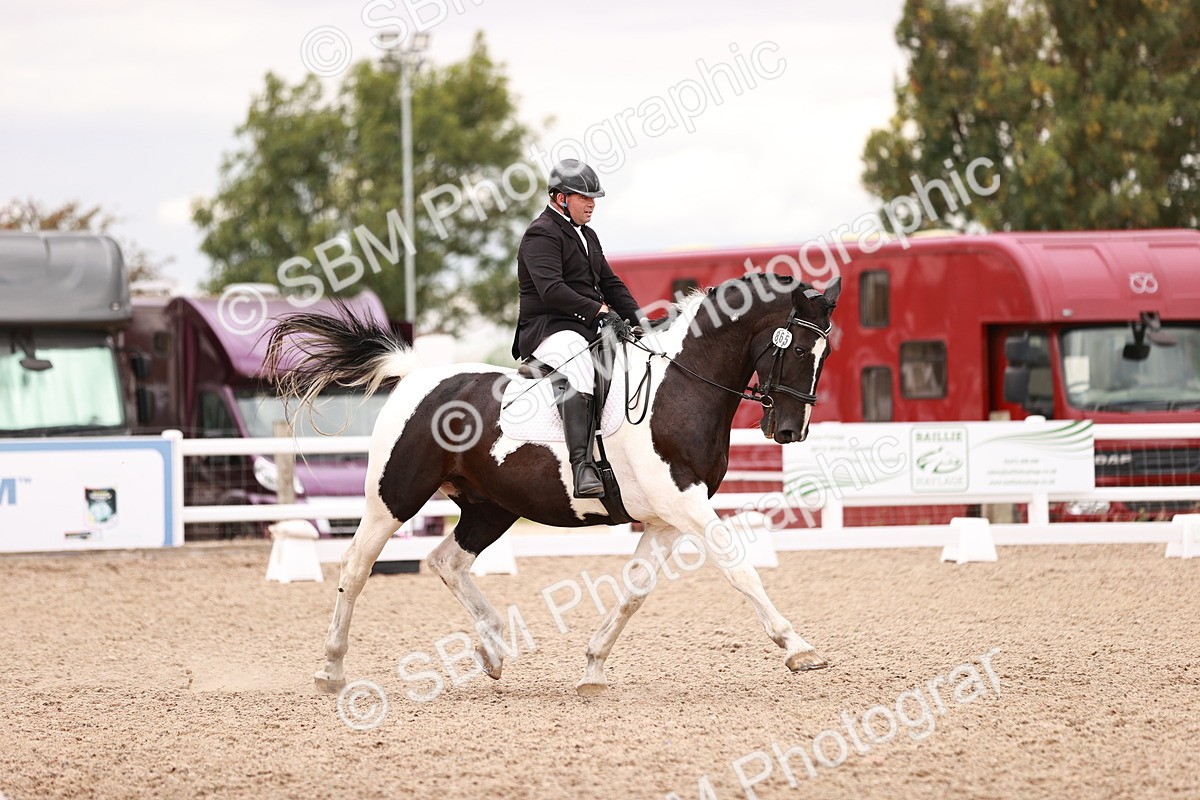 SBM_06396 - Class 37 - Novice 5