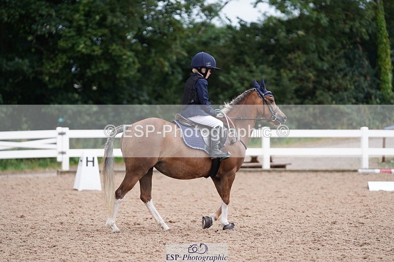 240809A-100926-00457 - Dressage Competition