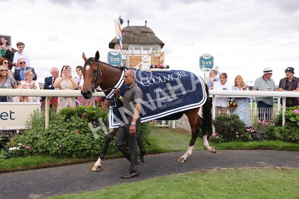 yr19082022r4-124 - Race 4 3.35pm Coolmore Wootton Bassett Nunthorpe Stakes (British Champion Series Race)