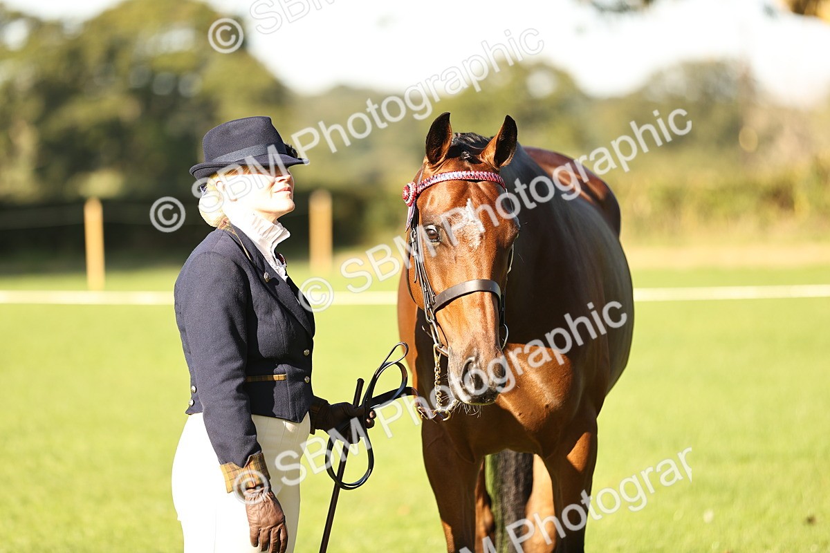 SBM_15737 - S1 - TSR in Hand Horse & Pony Showing
